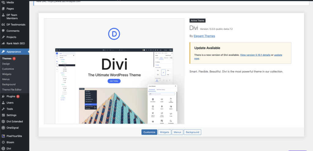 How to install Divi Theme in WordPress